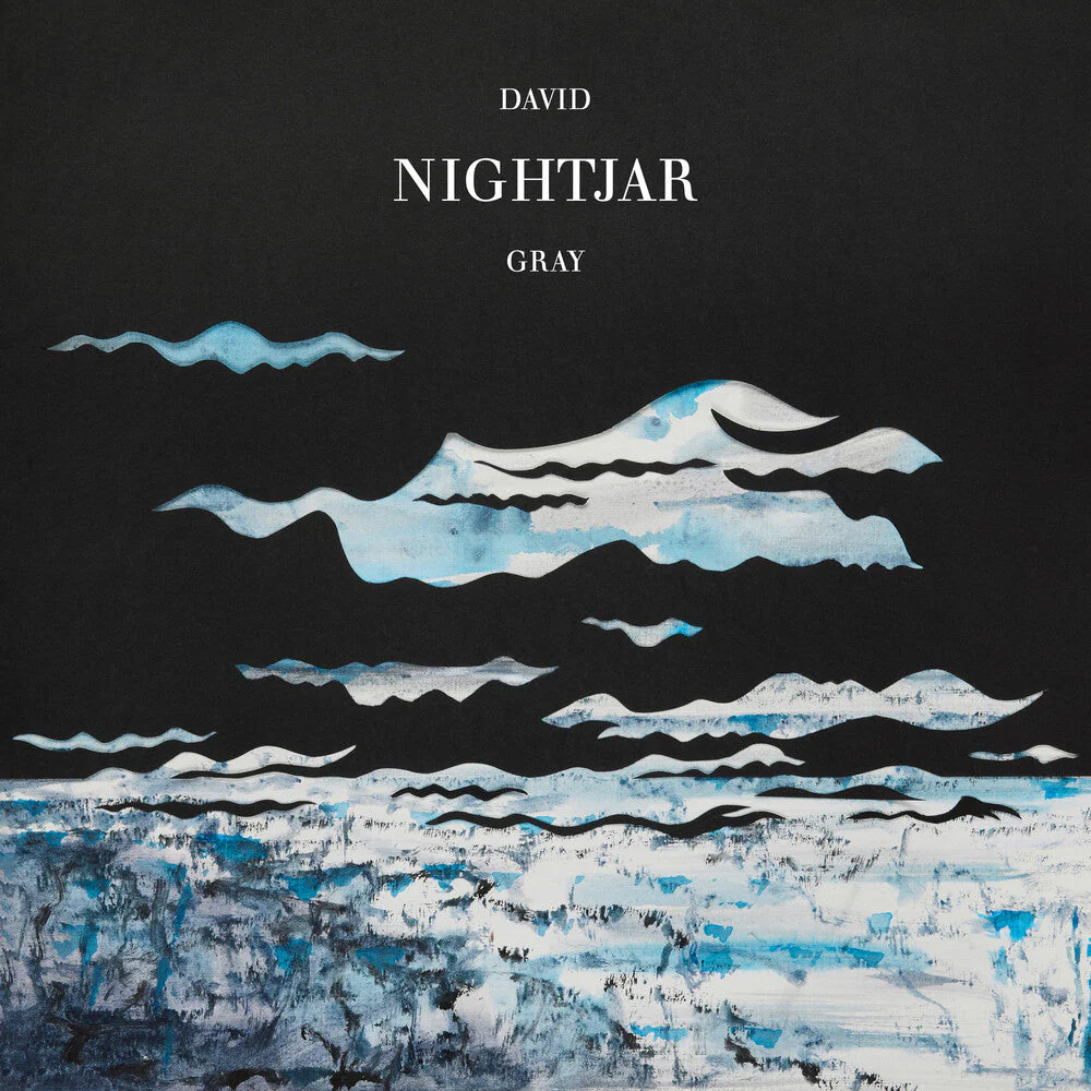 David Gray - Nightjar - Image 2
