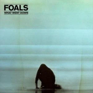 Foals - What Went Down - Image 3