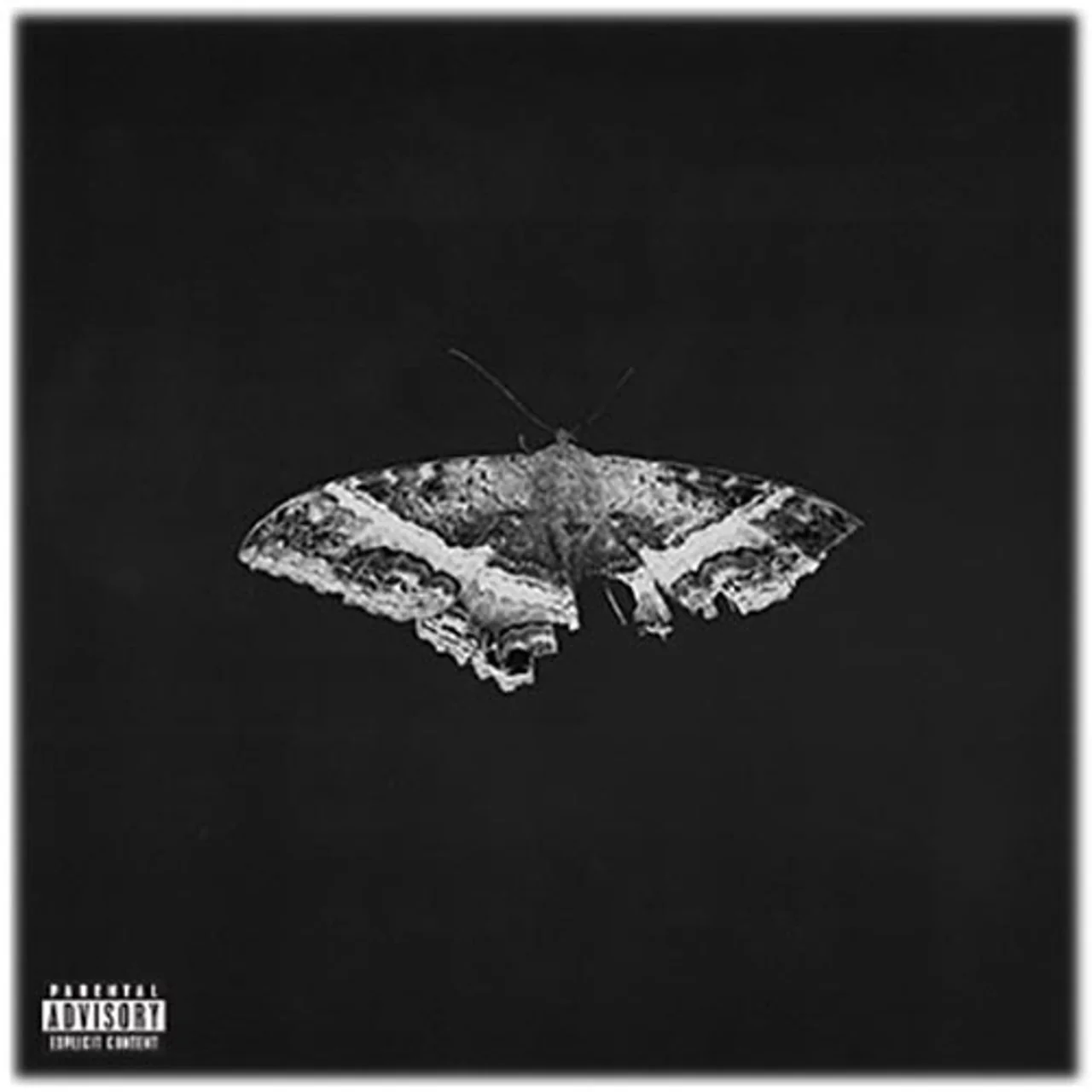 Kendrick Lamar - To Pimp A Butterfly Exclusive - Image 2