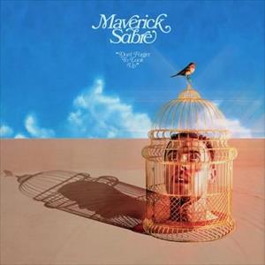 Maverick Sabre - Dont Forget To Look Up
