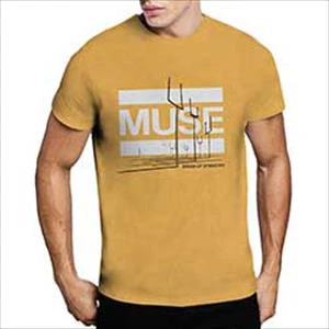 Muse - Origin Of Symmetry - Image 4