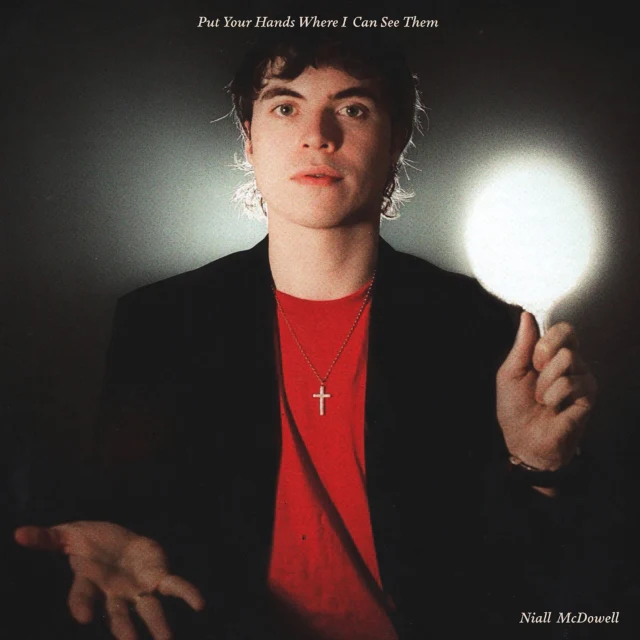 Niall McDowell - Put Your Hands Where I Can See Them - Image 2
