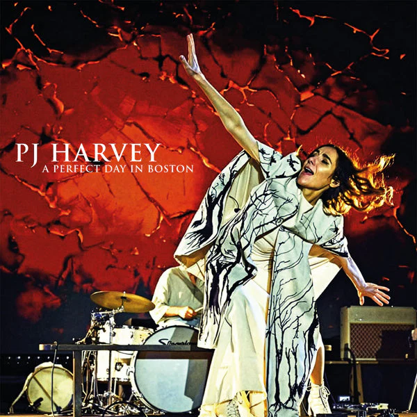 PJ Harvey - A Perfect Day In Boston - Image 2