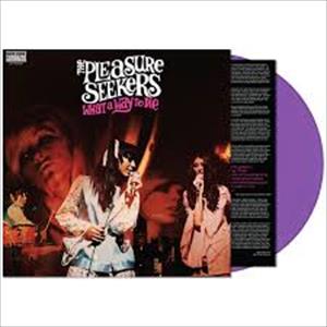 Pleasure Seekers - What A Way To Die