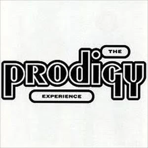 Prodigy - Experience