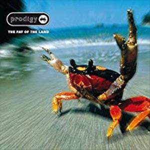 Prodigy - Fat Of The Land - Image 2