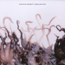 Stephin Merritt - Obscurities - Image 2