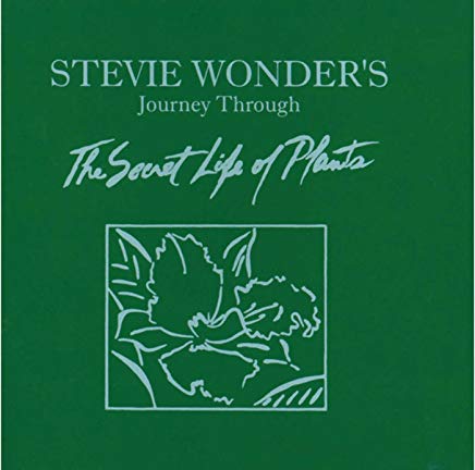 Stevie Wonder - Secret Life Of Plants