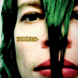 Superchunk - Misfits & Mistakes: Singles B-sides & Strays 2007-2023