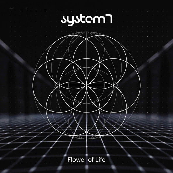System 7 - Flower Of Life - Image 2