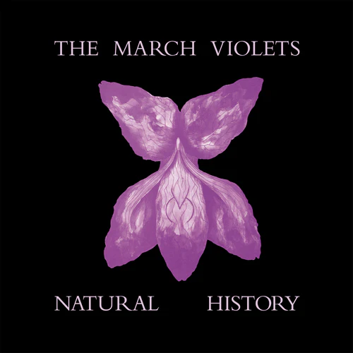 The March Violets - Natural History - Image 2