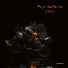 Various Artists - Pop Ambient 2019