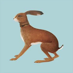 Vashti Bunyan - Lookaftering - Image 2