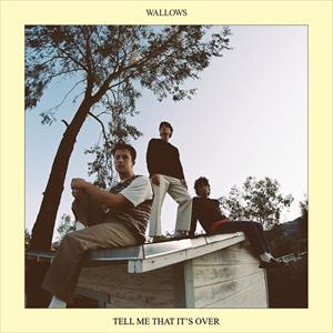 Wallows - Tell Me That Its Over