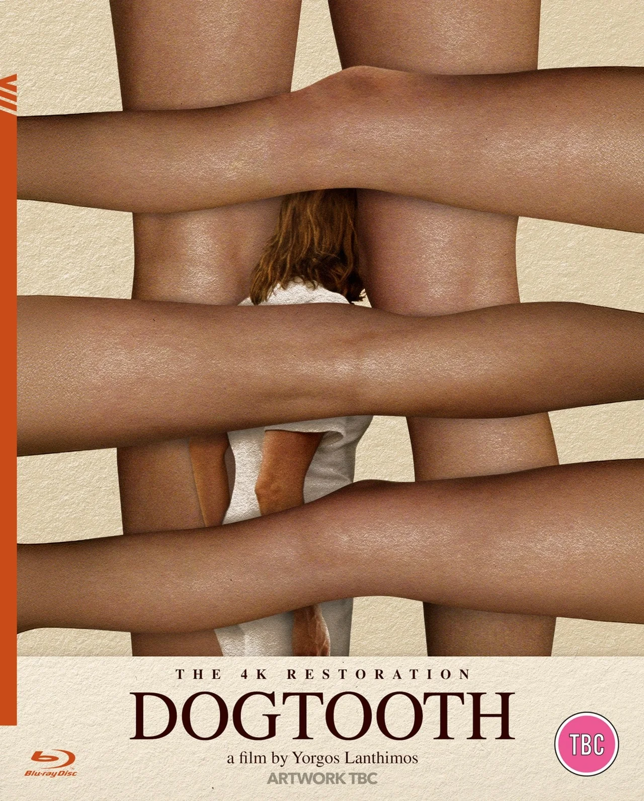 Yorgos Lanthimos/Christos Stergioglou - Dogtooth - Image 2